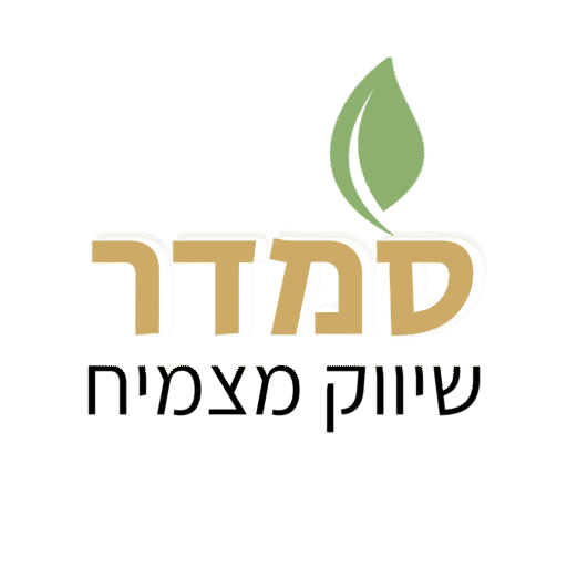 סמדר